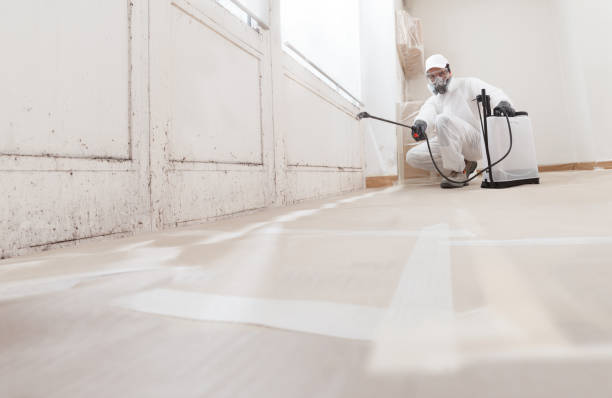 24/7 Emergency Mold Inspection experts in Chester, IL