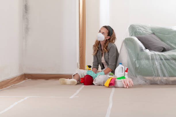 Reliable Mold Inspection contractor in Chester, IL by WQB Mold Removal